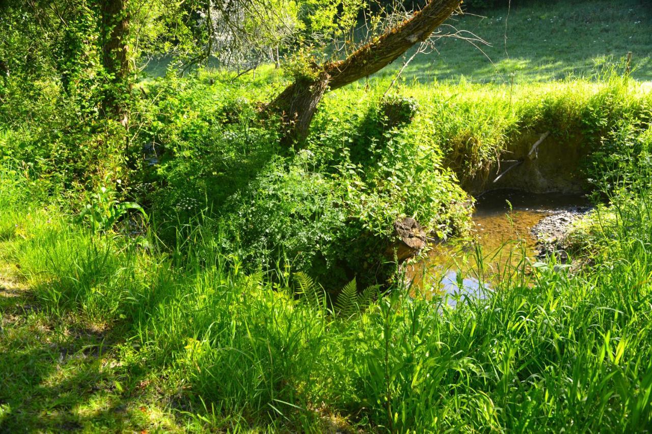 Le Domaine Du Pont Canon Plourivo エクステリア 写真